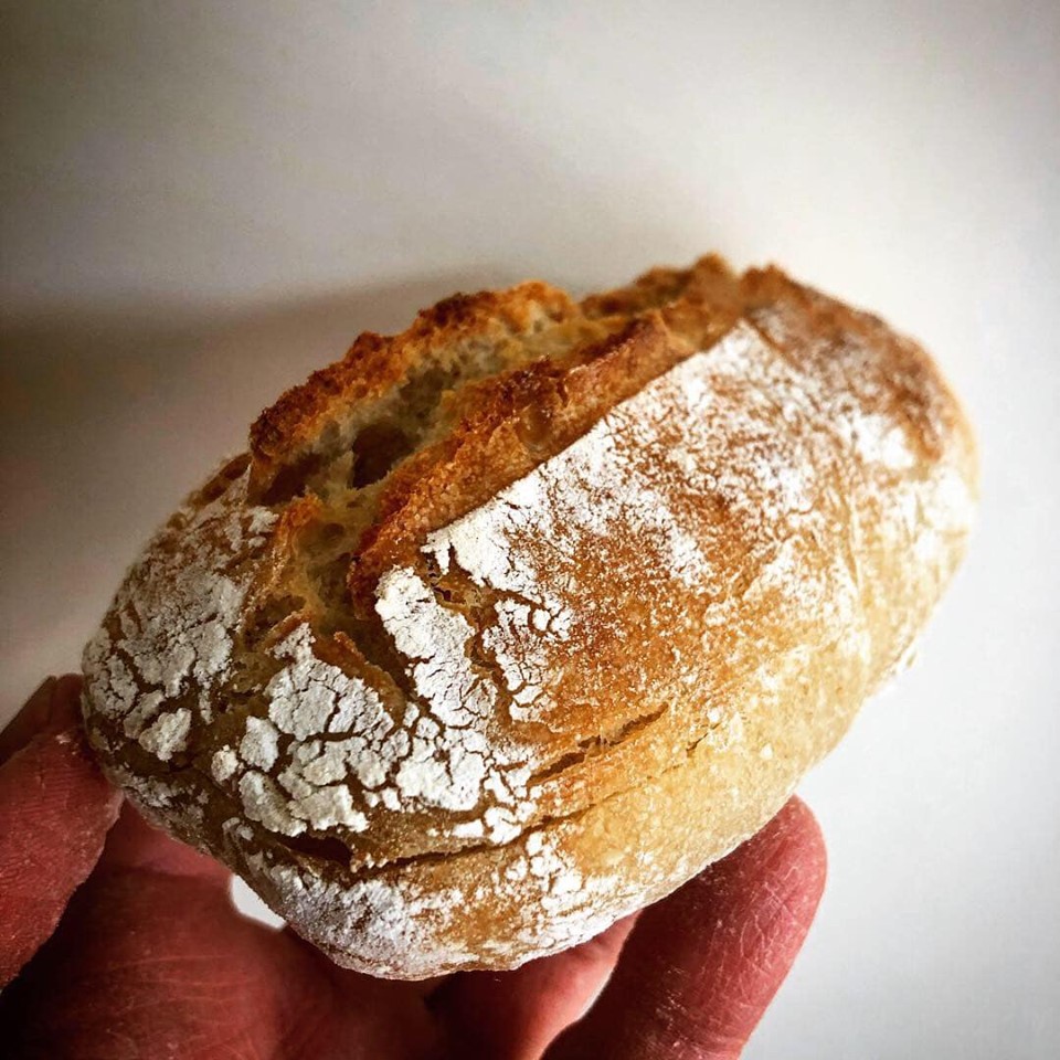Roggenbrötchen ohne Sauerteig - mipano Rezepte